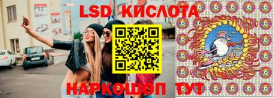 гидра Заволжье