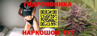гидра Заволжье