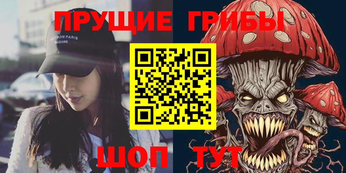Псилоцибиновые грибы Psilocybe Менделеевск